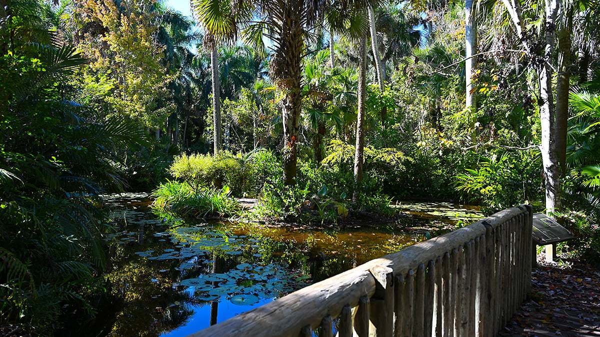 Mckee-Botanical-Gardens-2392-1200x675