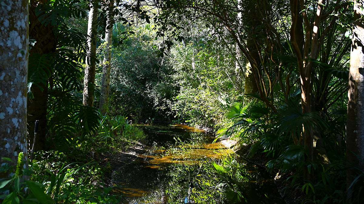 Mckee-Botanical-Gardens-2396-1200x675