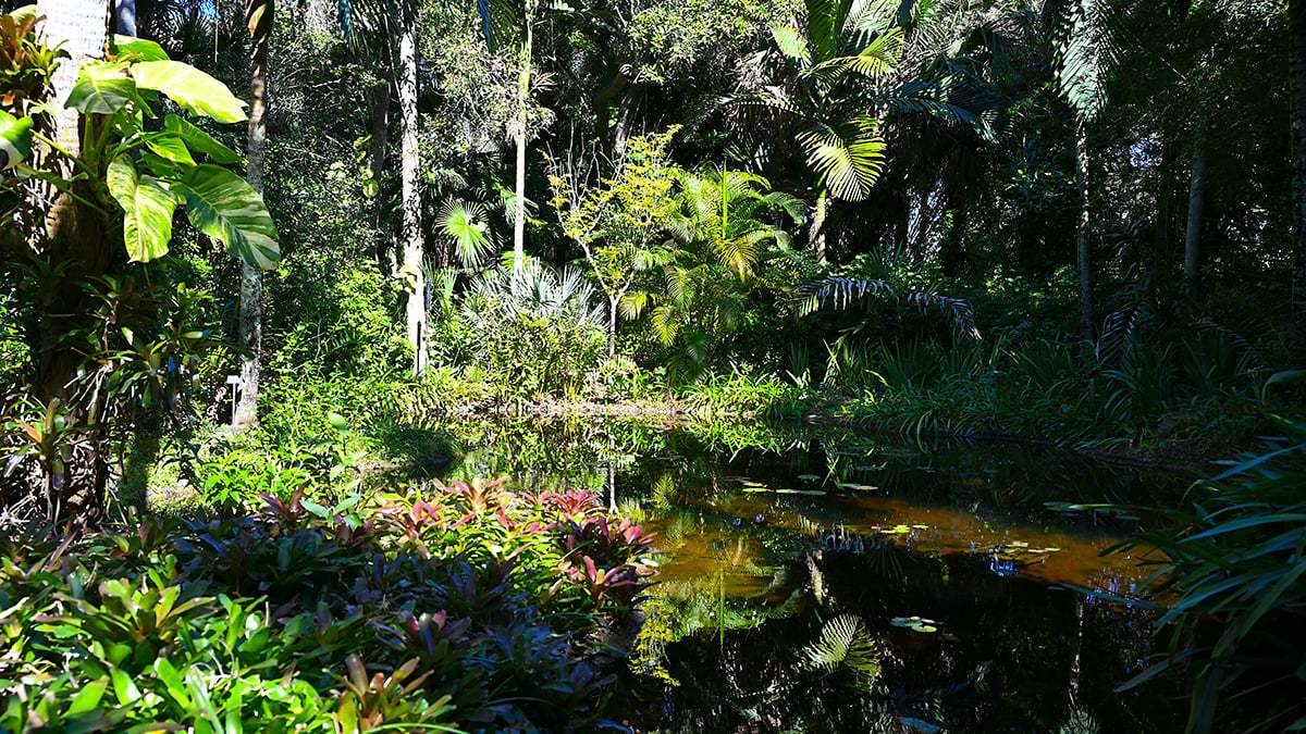 Mckee-Botanical-Gardens-2398-1200x675