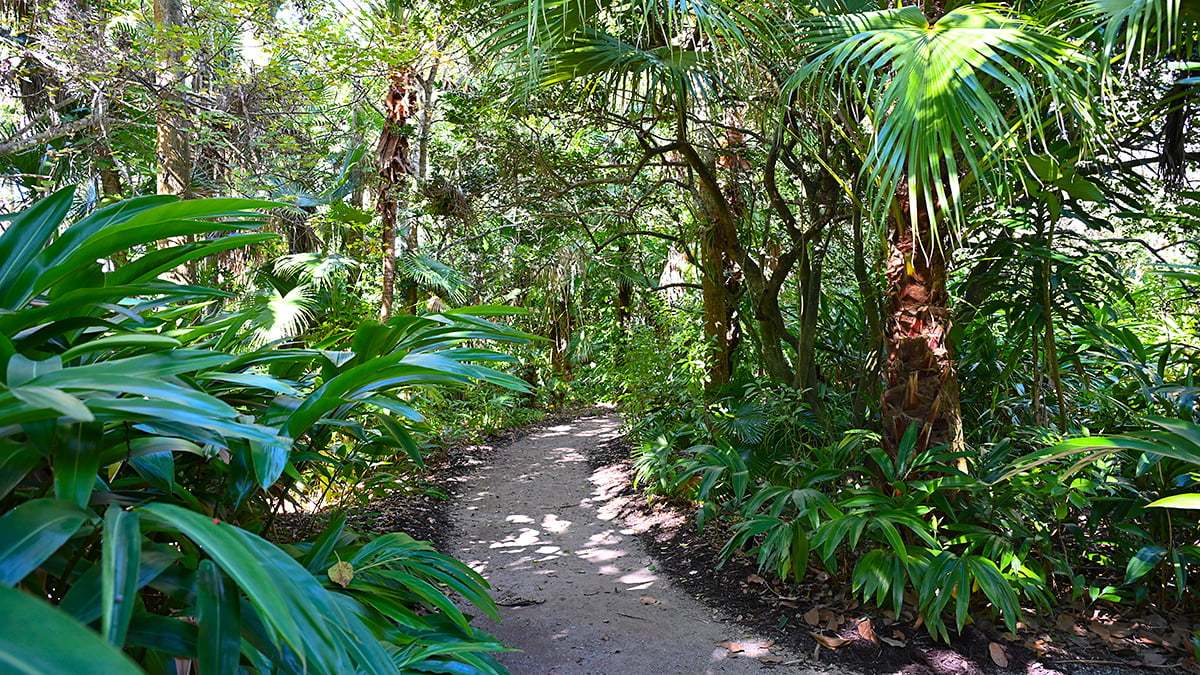 Mckee-Botanical-Gardens-2399-1200x675