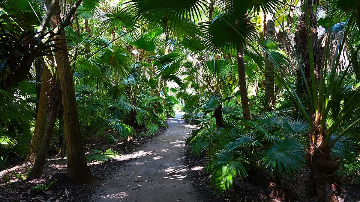 Mckee-Botanical-Gardens-2400-1200x675