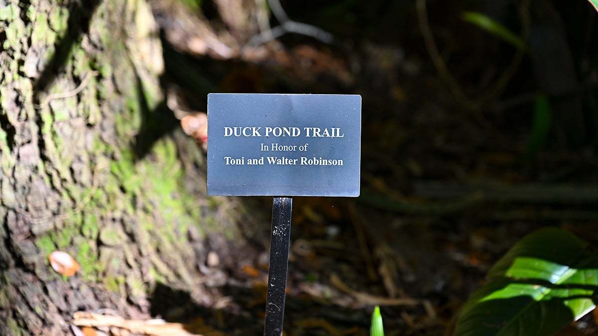 Mckee-Botanical-Gardens-2401-1200x675