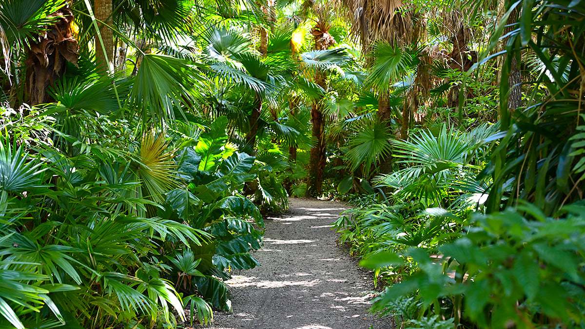 Mckee-Botanical-Gardens-2404-1200x675