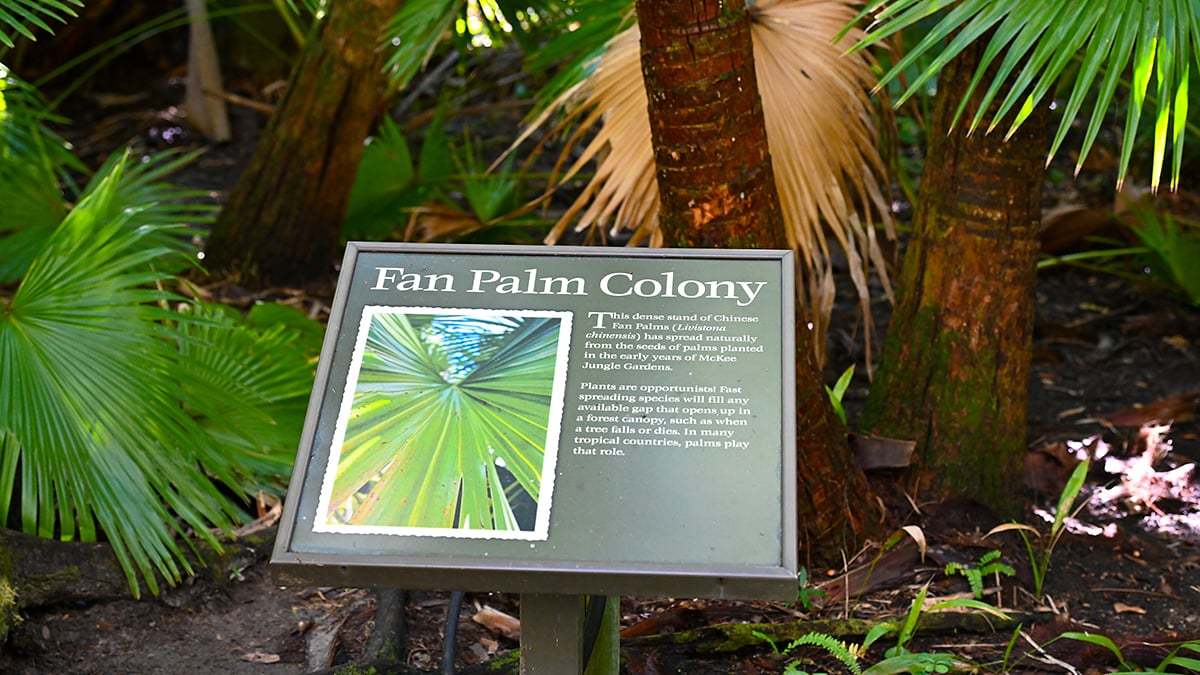 Mckee-Botanical-Gardens-2405-1200x675