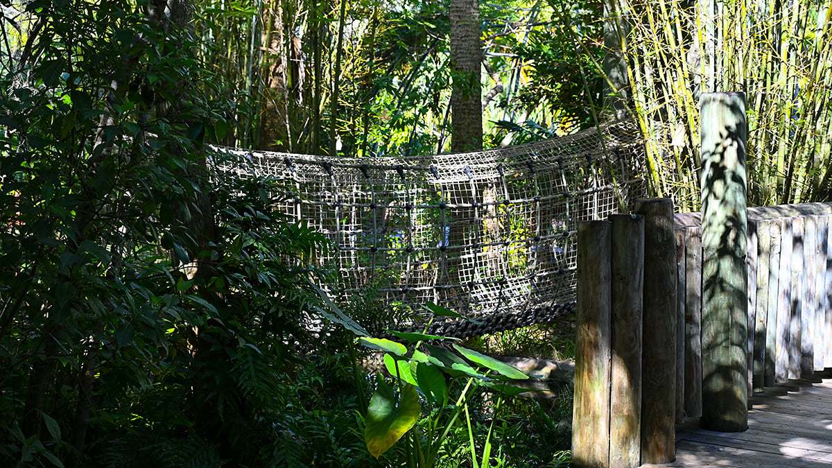 Mckee-Botanical-Gardens-2409-1200x675