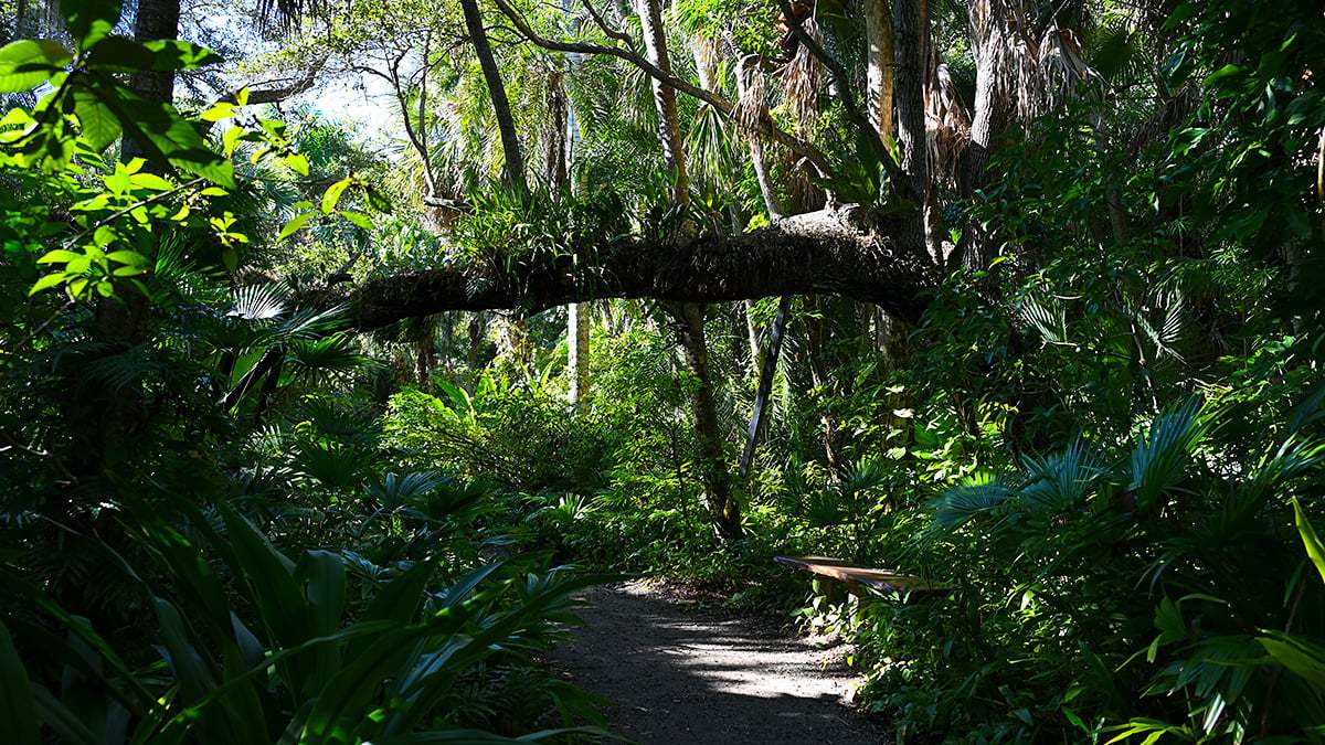 Mckee-Botanical-Gardens-2411-1200x675