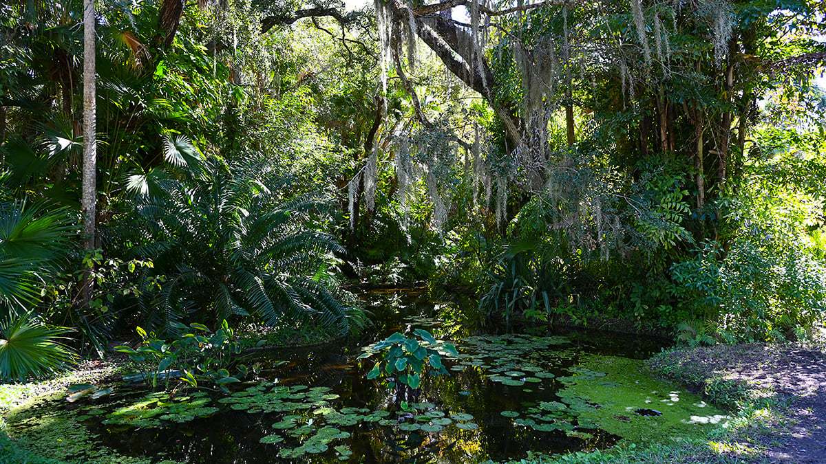 Mckee-Botanical-Gardens-2414-1200x675