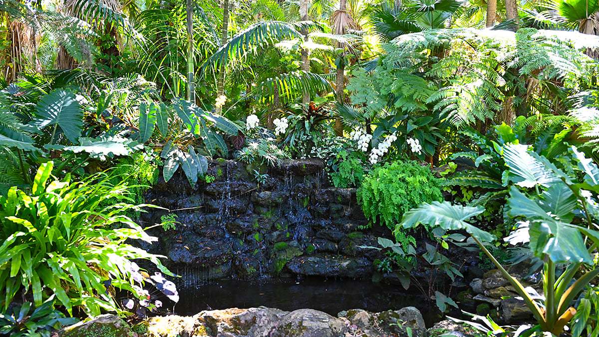Mckee-Botanical-Gardens-2417-1200x675