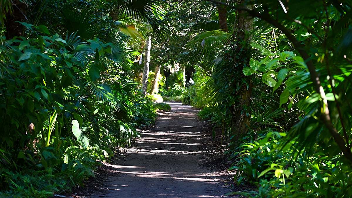 Mckee-Botanical-Gardens-2419-1200x675