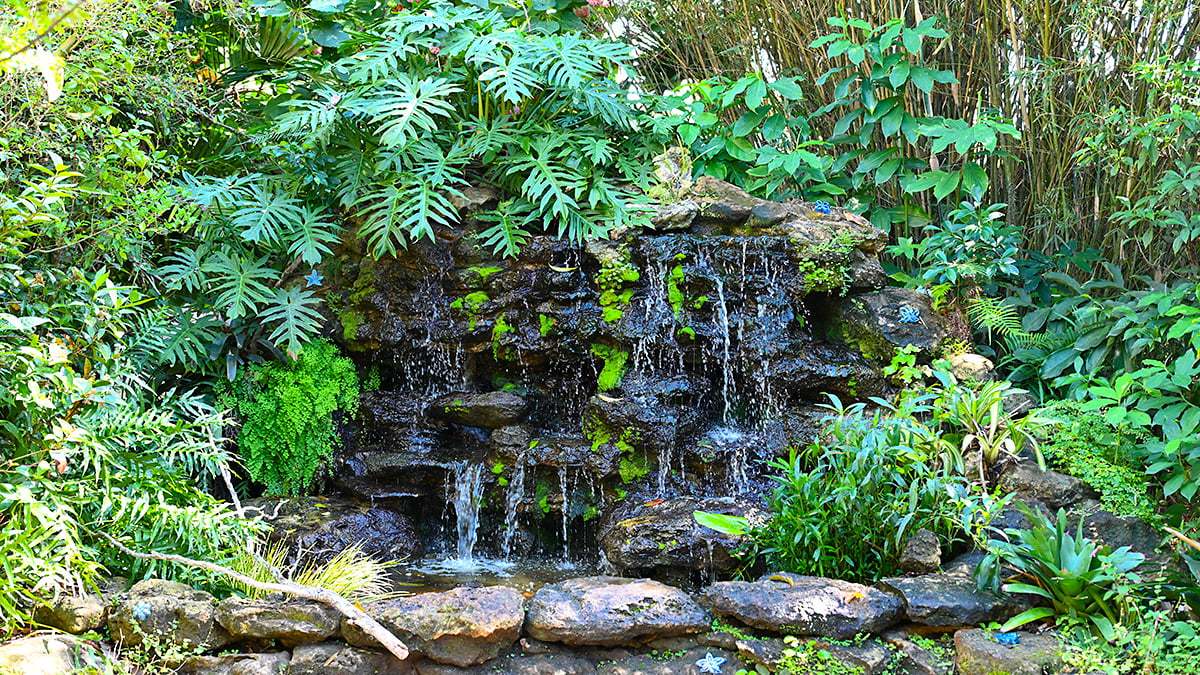 Mckee-Botanical-Gardens-2424-1200x675