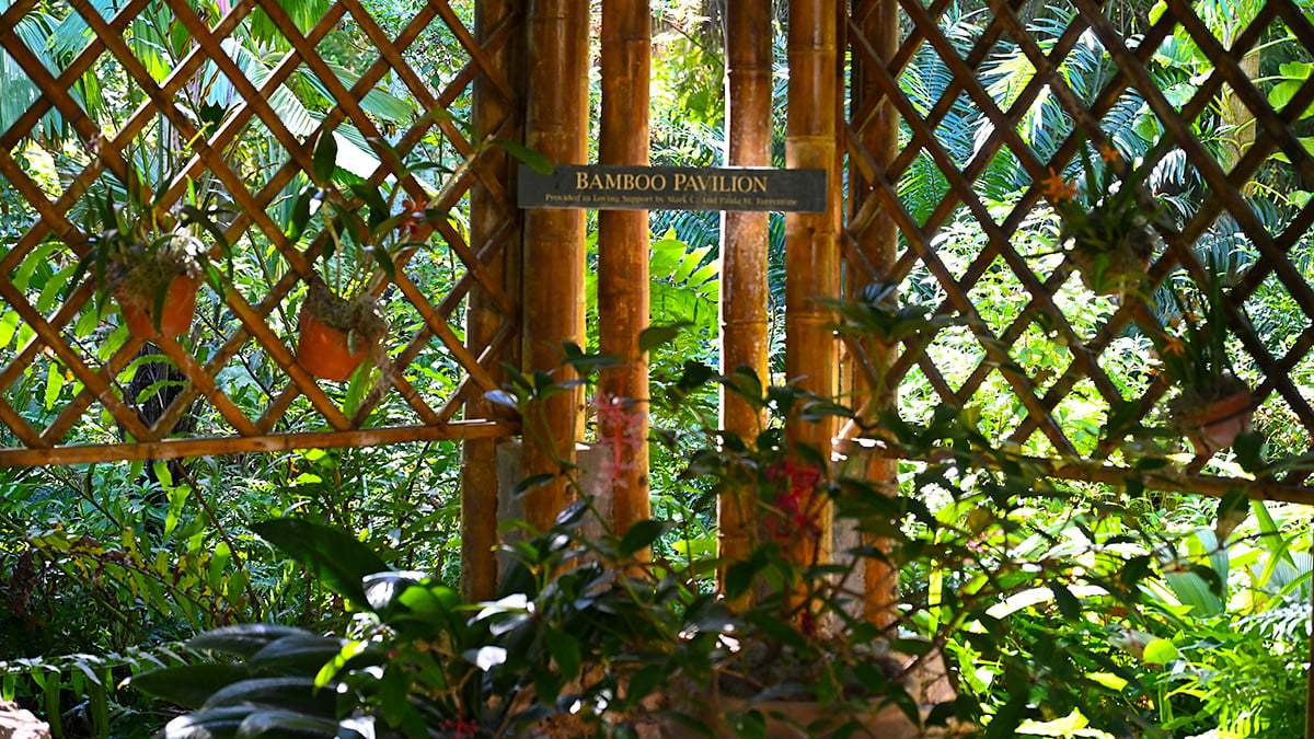 Mckee-Botanical-Gardens-2426-1200x675