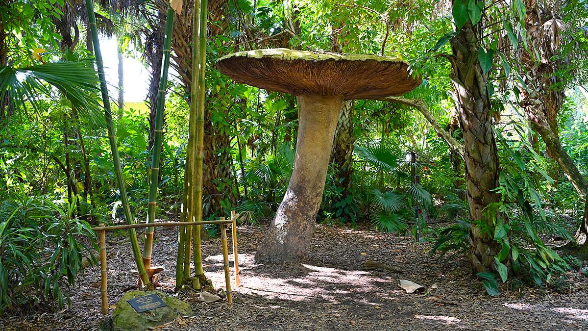 Mckee-Botanical-Gardens-2428-1200x675