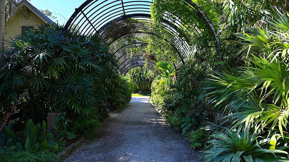 Mckee-Botanical-Gardens-2430-1200x675