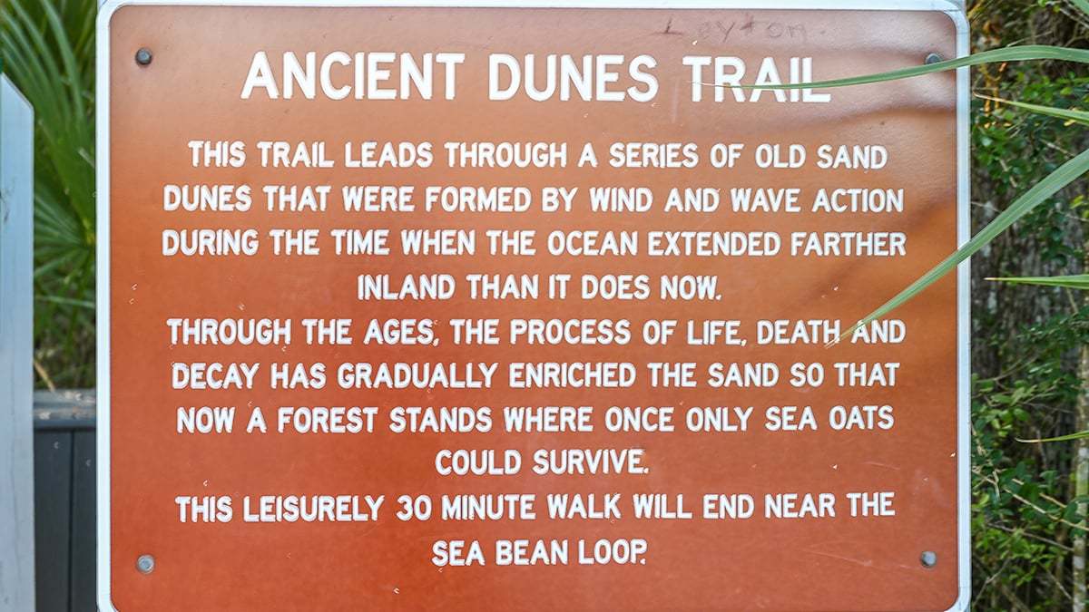 Anastasia-State-Park-2745-1200x675