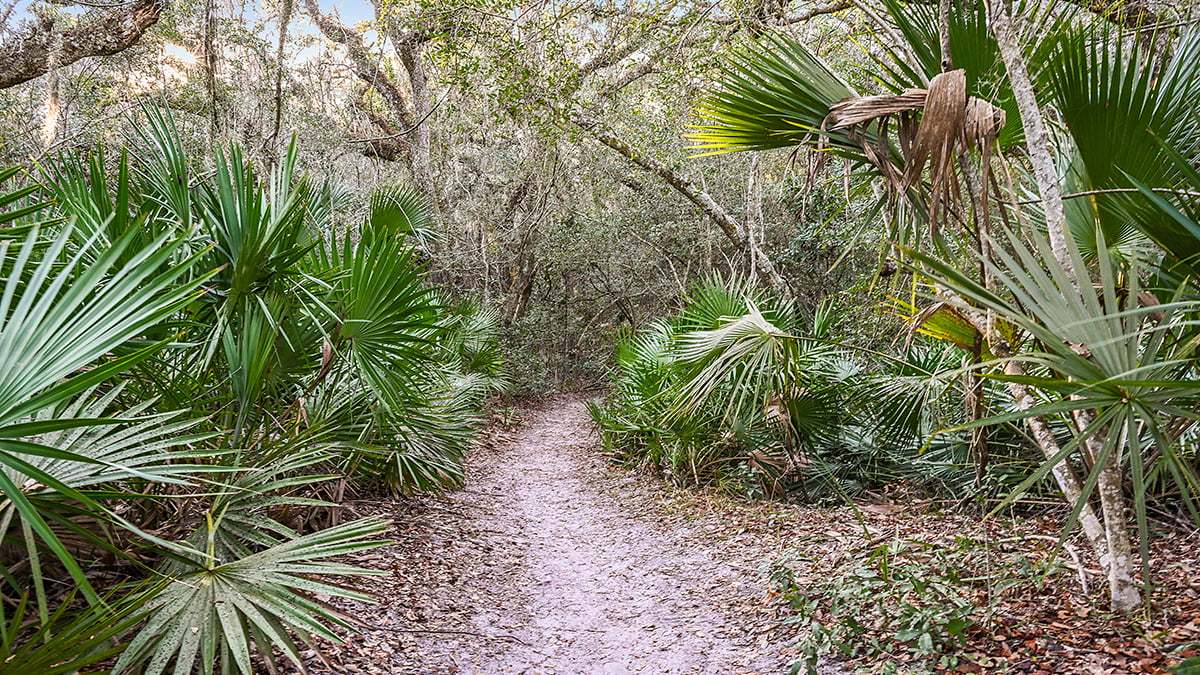 Anastasia-State-Park-2748-1200x675