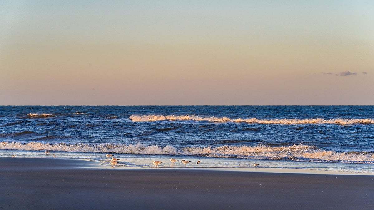 Anastasia-State-Park-2756-1200x675