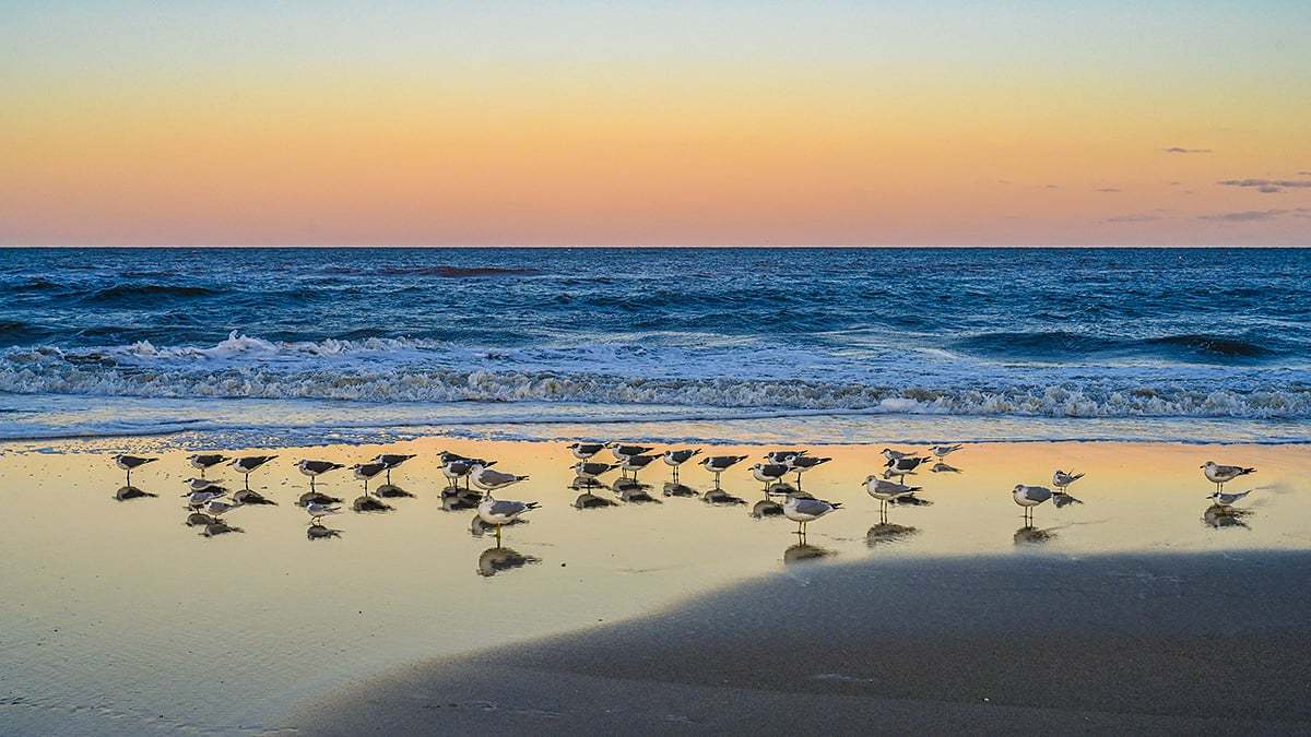 Anastasia-State-Park-2760-1200x675