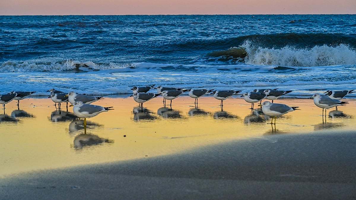 Anastasia-State-Park-2761-1200x675