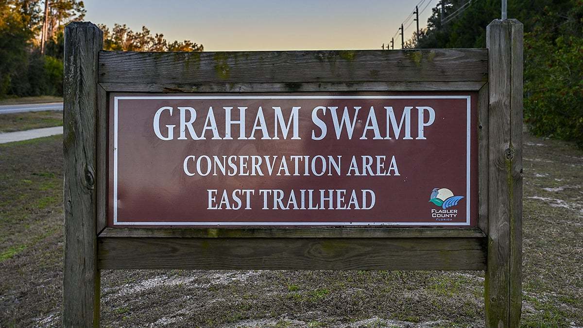 Graham-Swamp-2826-1200x675