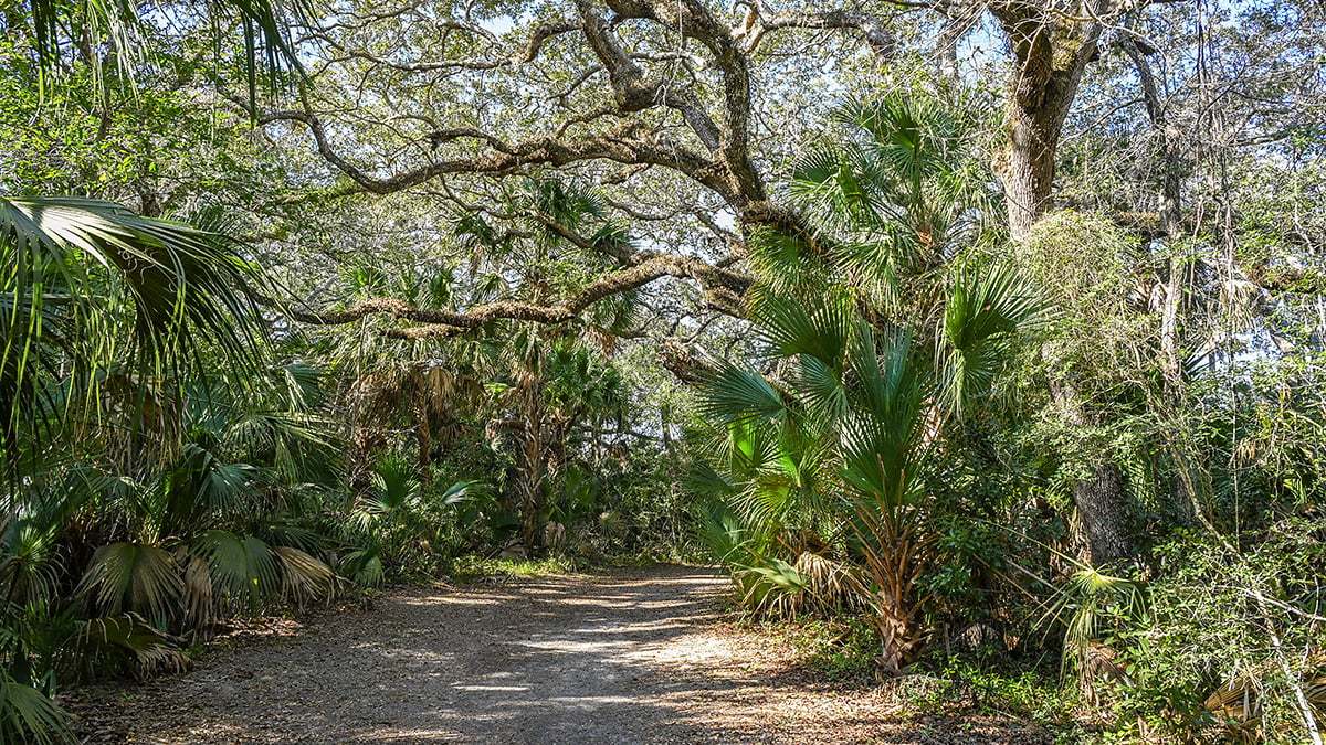 River-to-Sea-Preserve-2765-1200x675