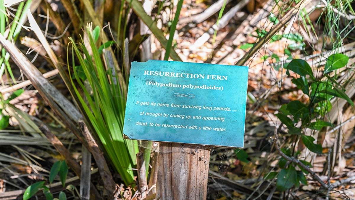 River-to-Sea-Preserve-2766-1200x675