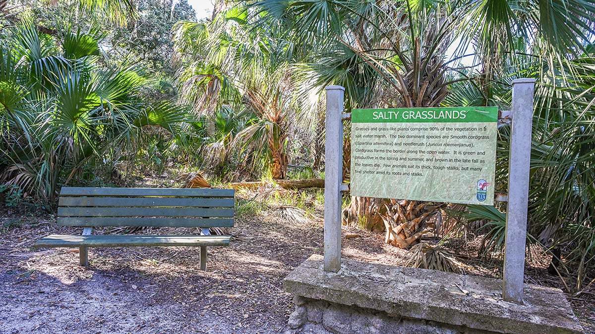 River-to-Sea-Preserve-2768-1200x675