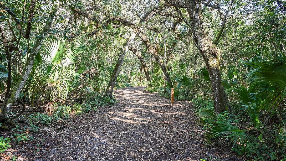 River-to-Sea-Preserve-2774-1200x675