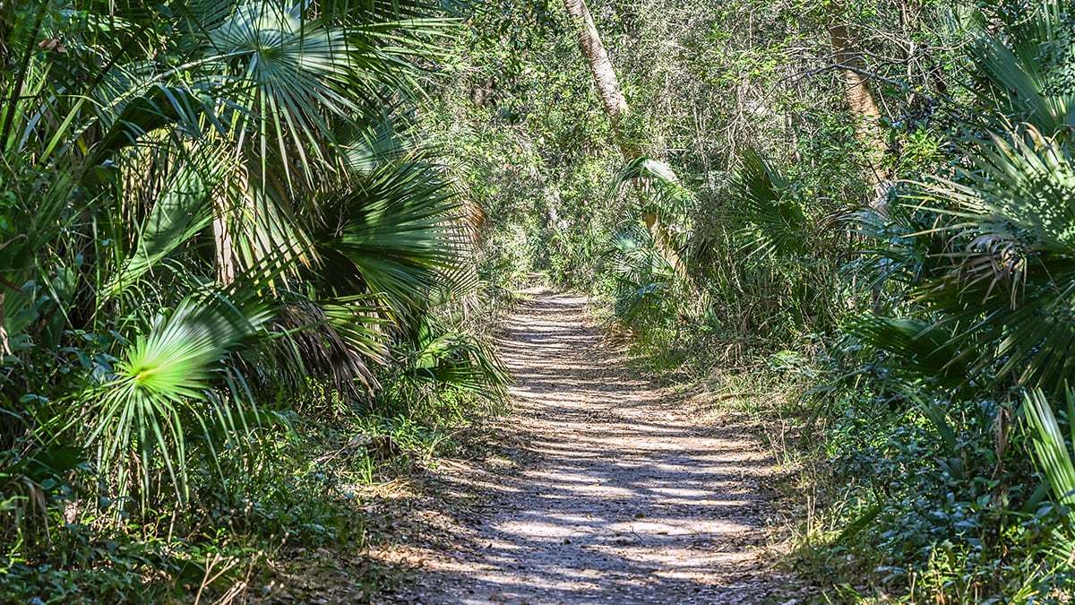 Washington-Oaks-Gardens-State-Park-2781-1200x675
