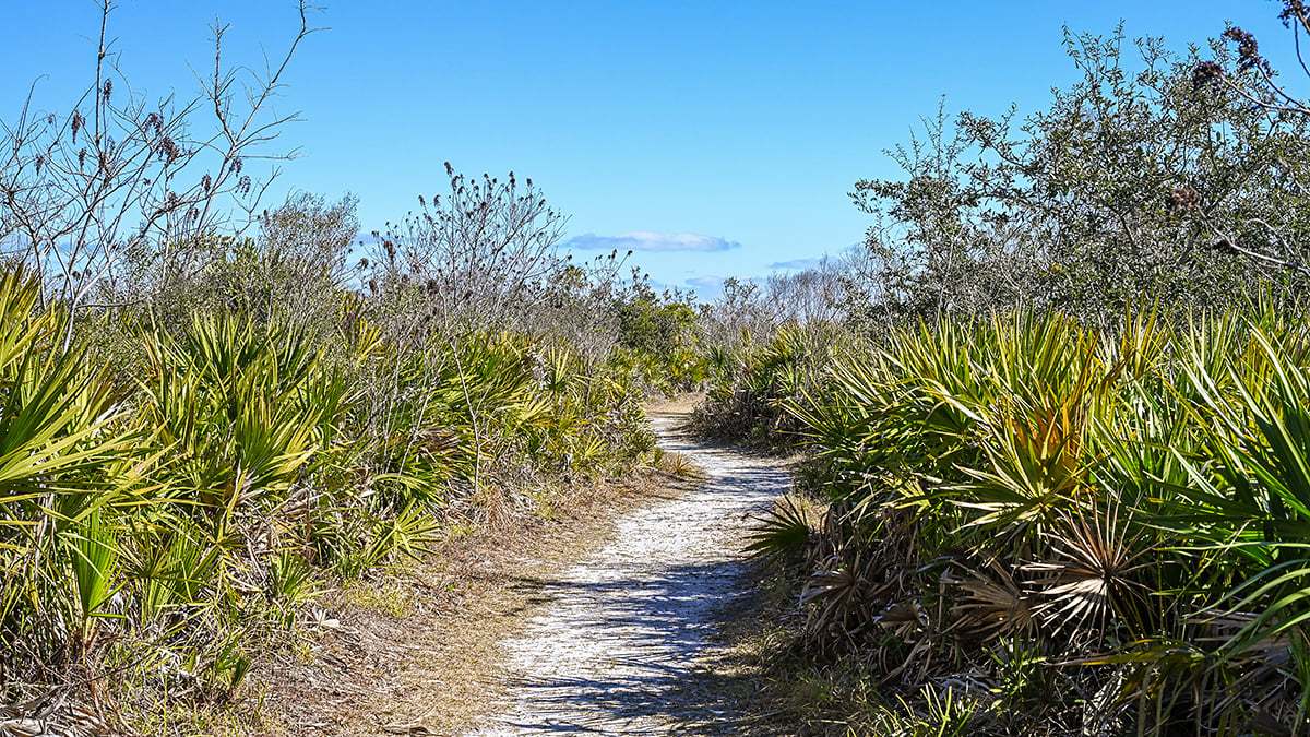 Washington-Oaks-Gardens-State-Park-2785-1200x675