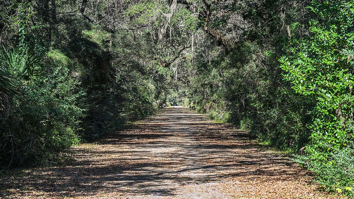 Washington-Oaks-Gardens-State-Park-2788-1200x675