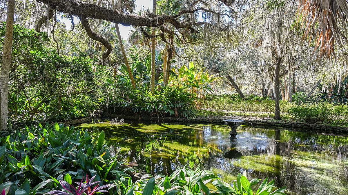 Washington-Oaks-Gardens-State-Park-2790-1200x675