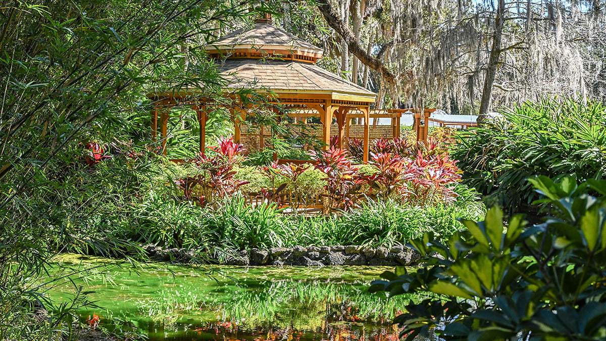 Washington-Oaks-Gardens-State-Park-2794-1200x675