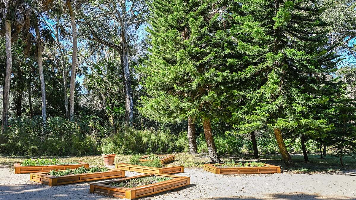 Washington-Oaks-Gardens-State-Park-2805-1200x675