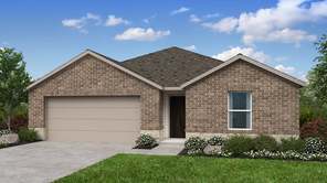 15337 Meso Maya Lane (Hutto)