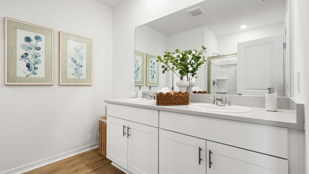 Taylor Morrison - Solena - Hummingbird...