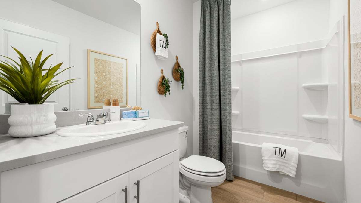 Taylor Morrison - Solena - Hummingbird...