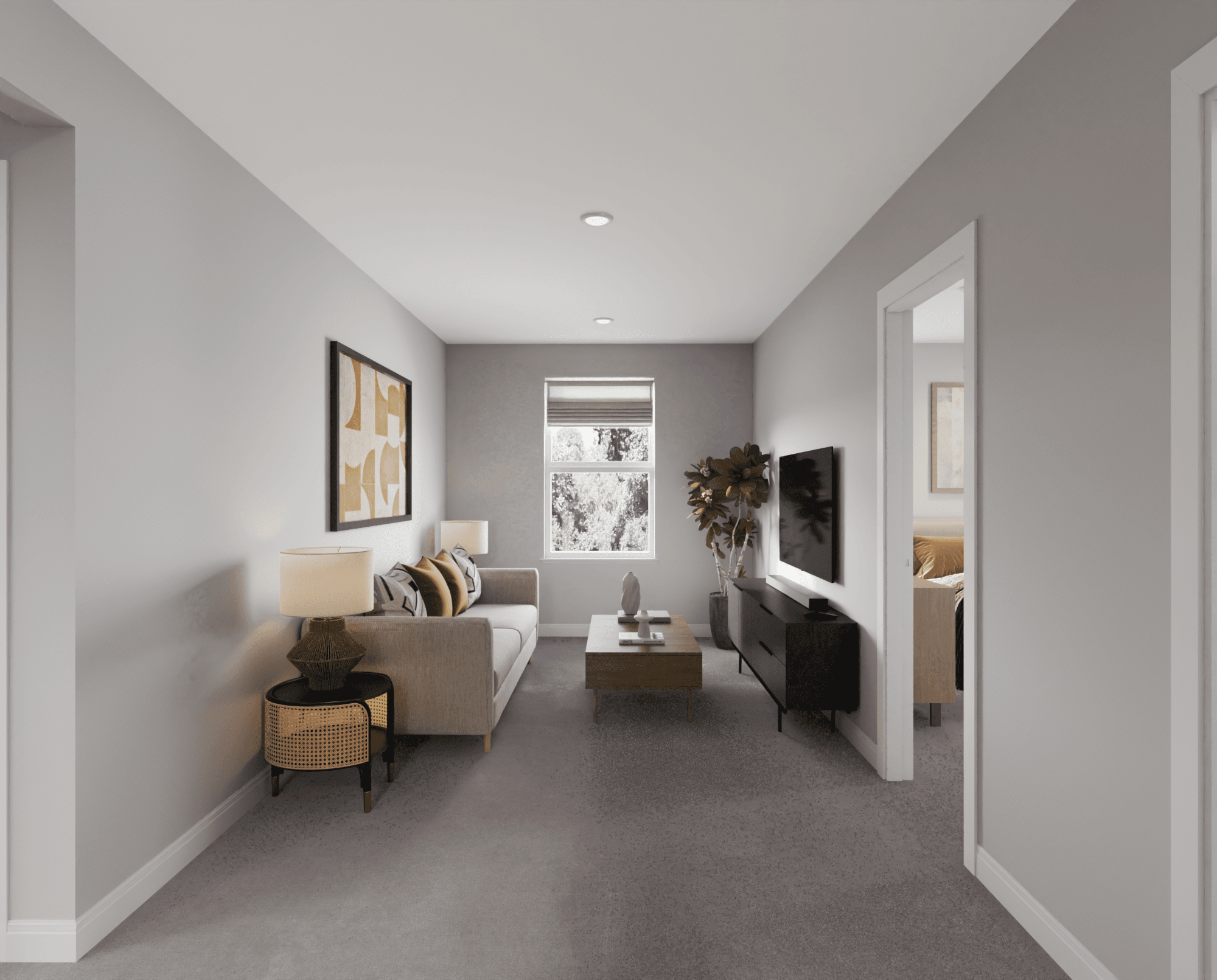 013_3514__loft_cam_1