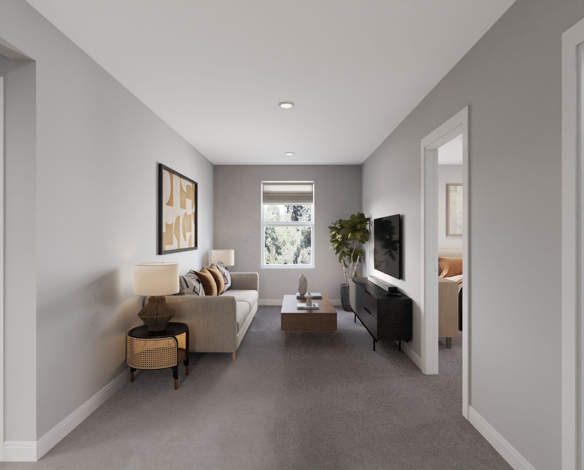 013_3514__loft_cam_1