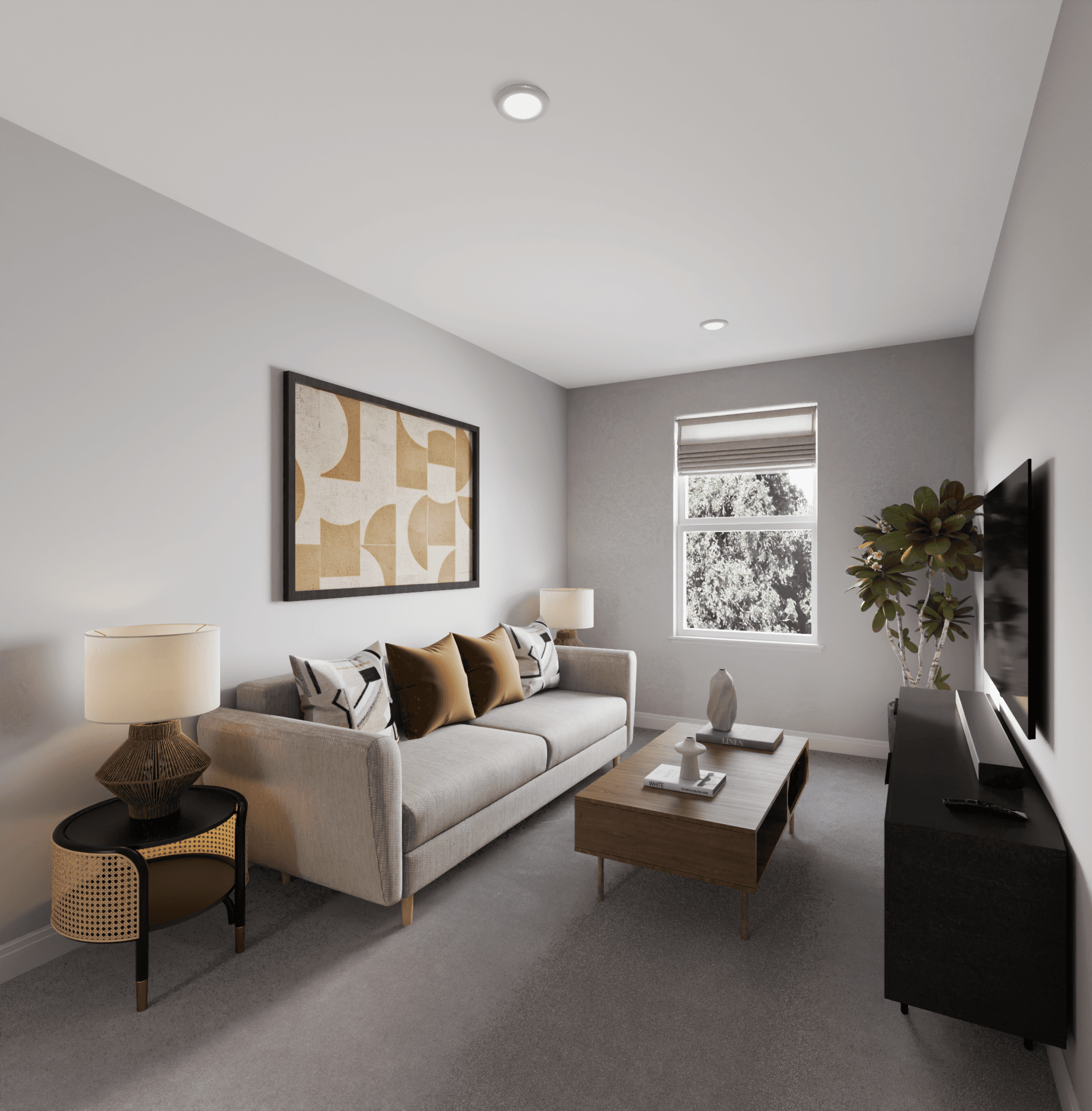 014_3514__loft_cam_2