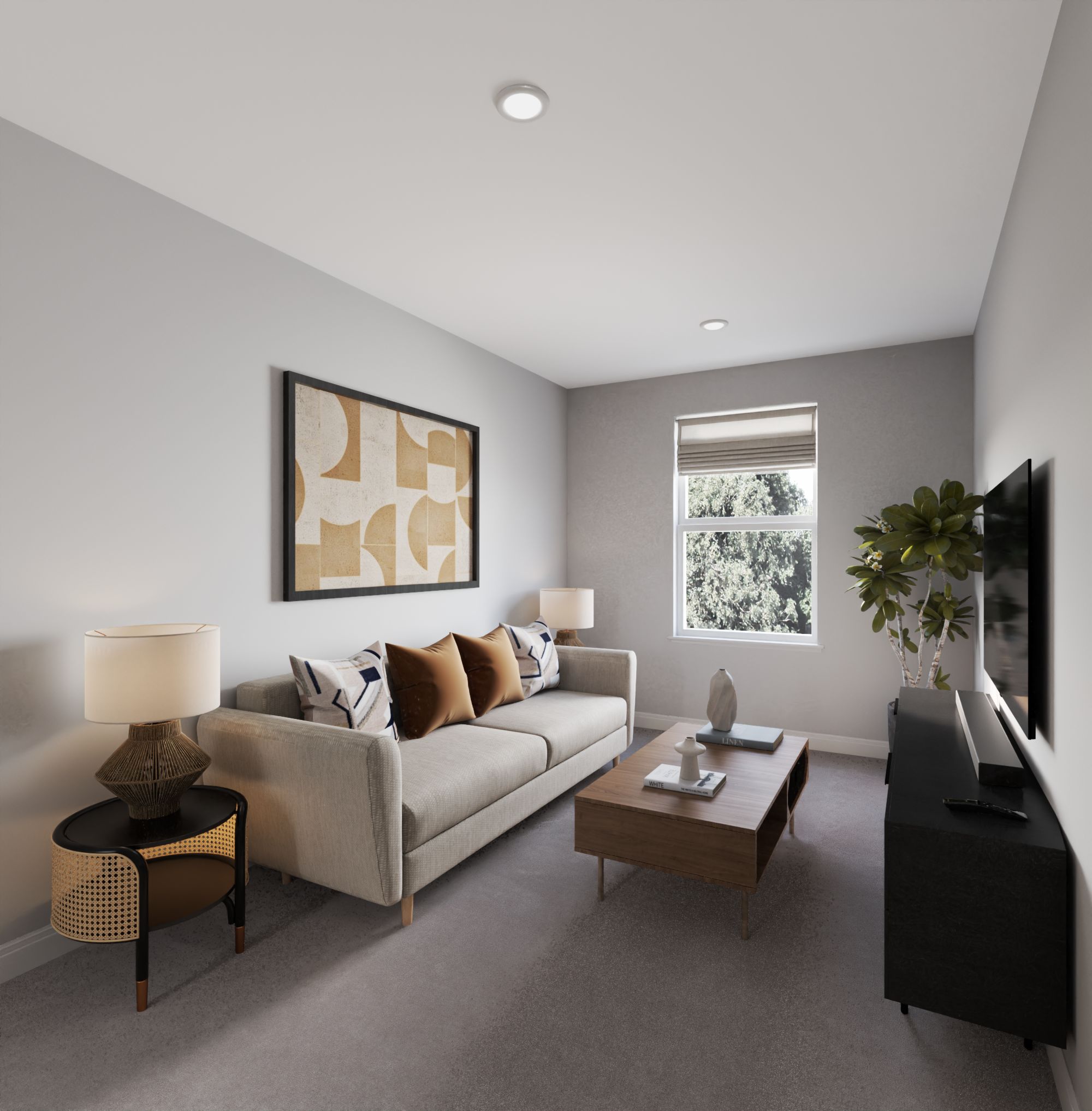 014_3514__loft_cam_2