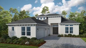 19454 Corkscrew Strand Street (Argenta)