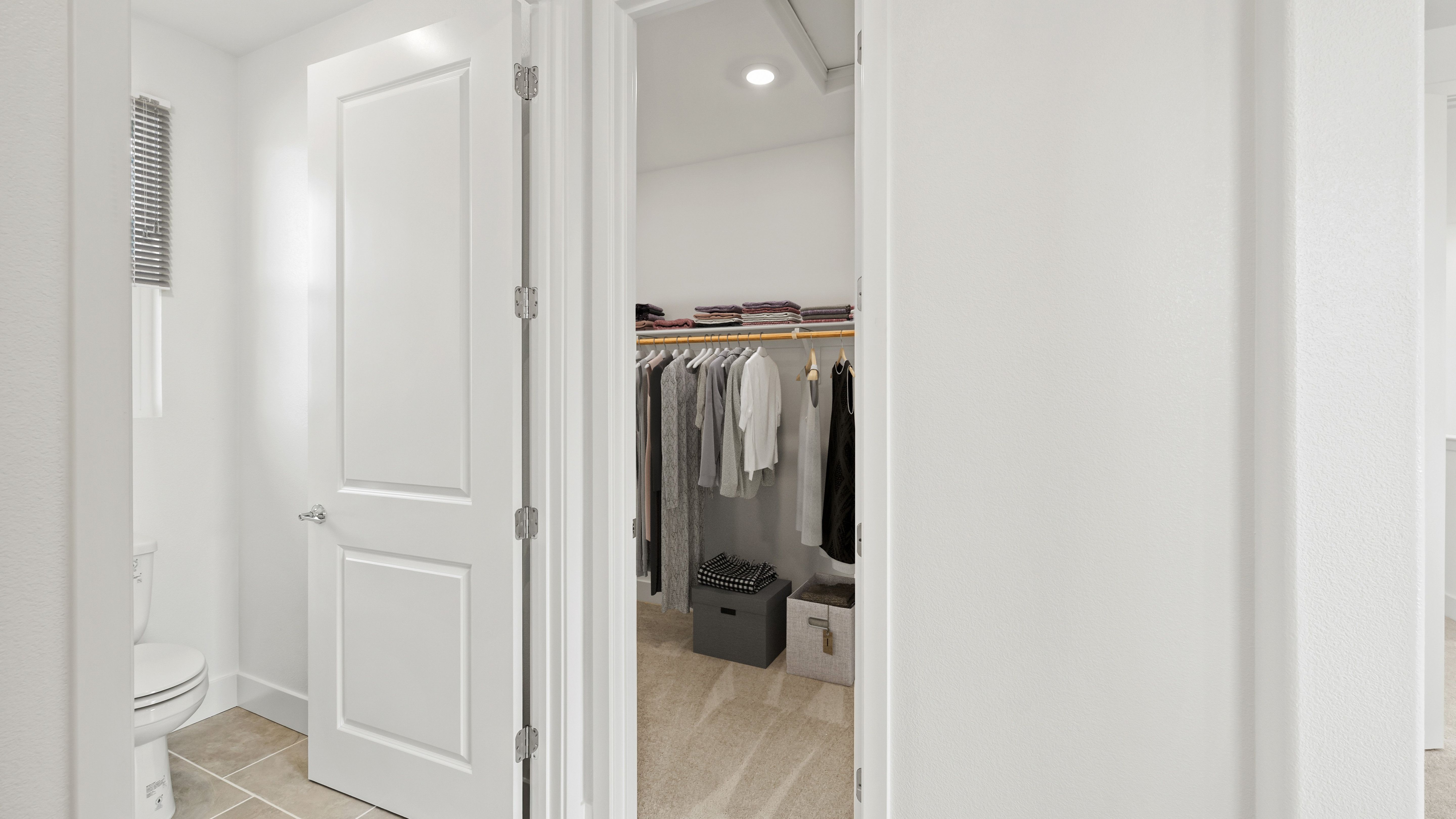 Redwood Primary Closet