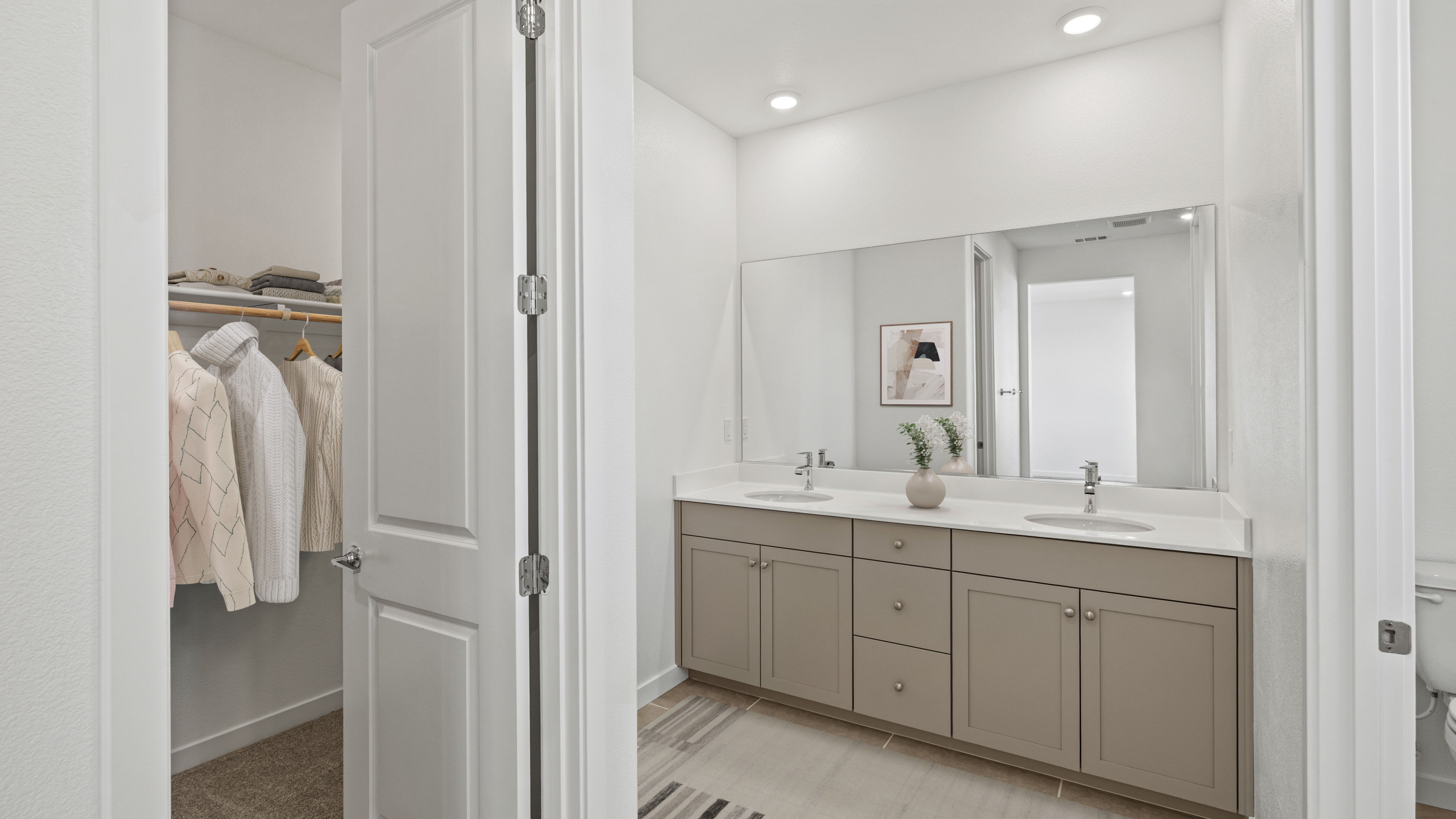 Rockrose Primary Ba 2