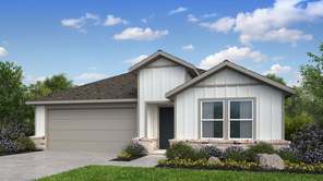 2333 Buffalo Bayou Way (Kyle)