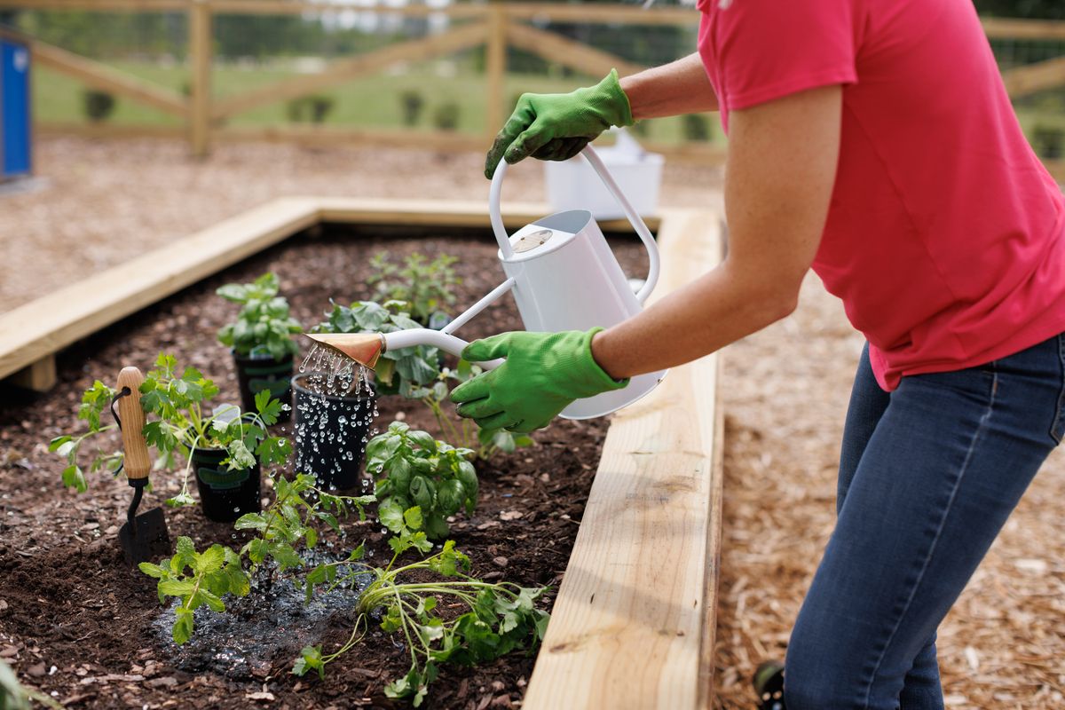 20220405 ScottCookPhotography-0490