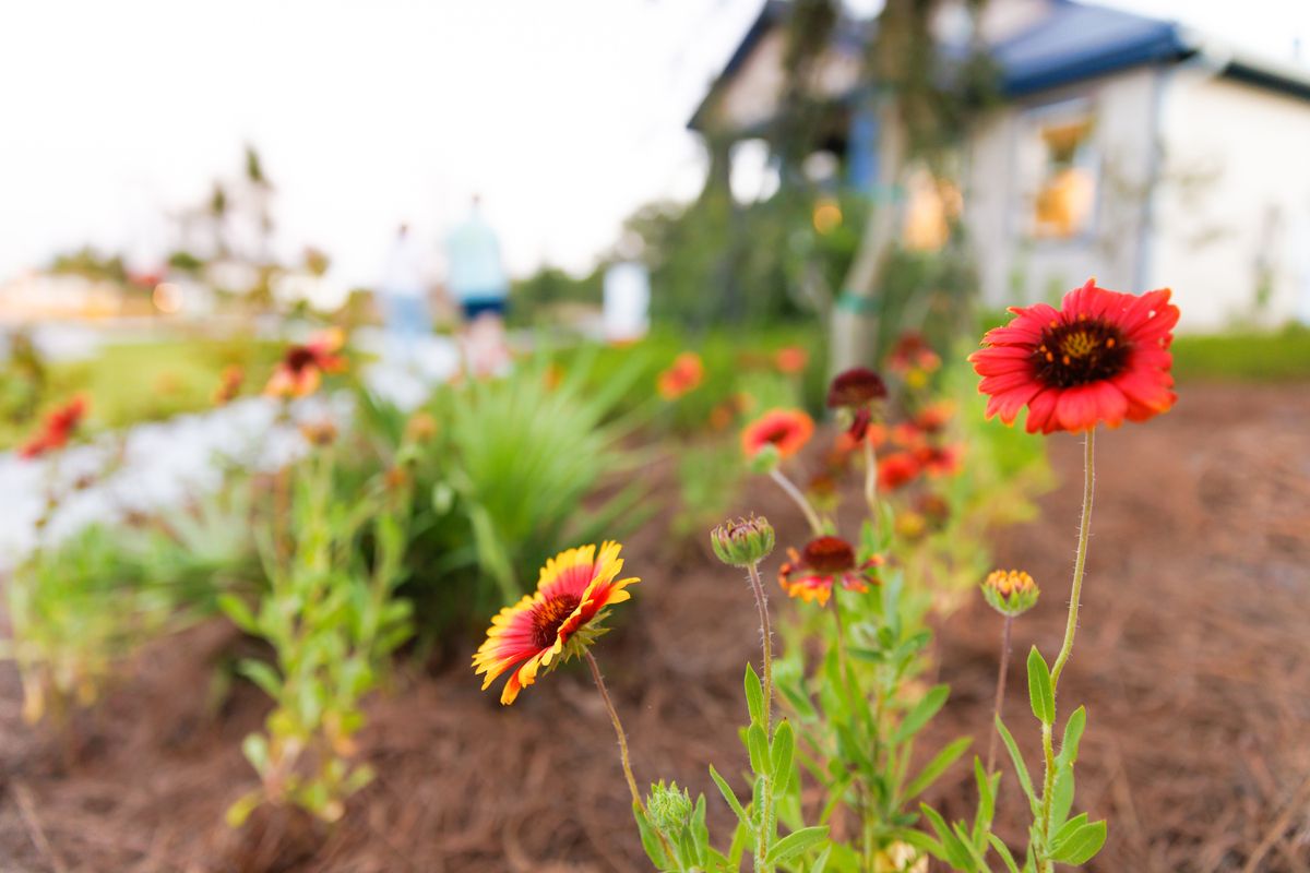 20230507 Sunbridge ScottCookPhotography 8742