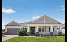 Ardisia Park: New Smyrna Beach, Florida - Taylor Morrison