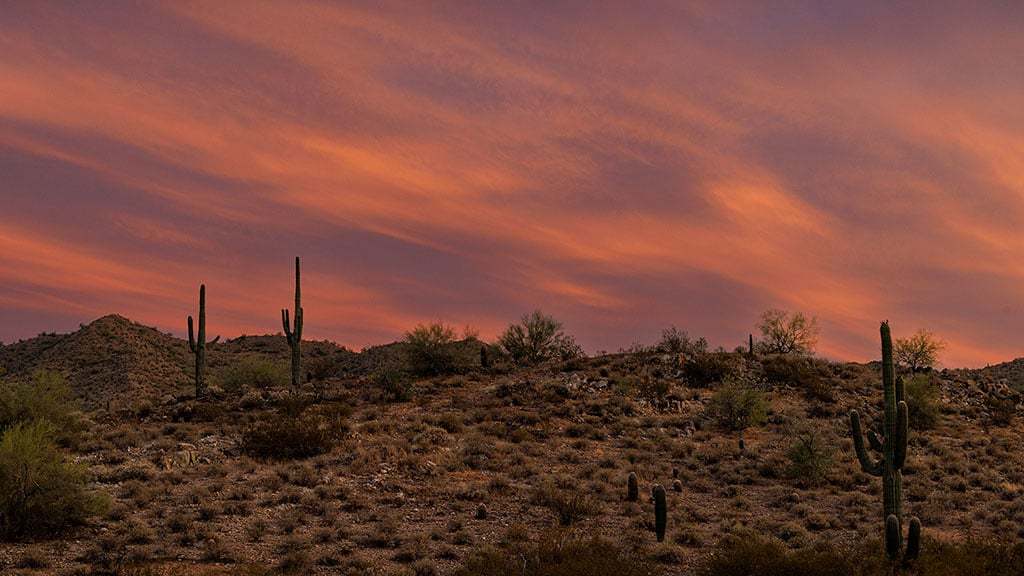 Ladera Trails Landscape 14 1024x576