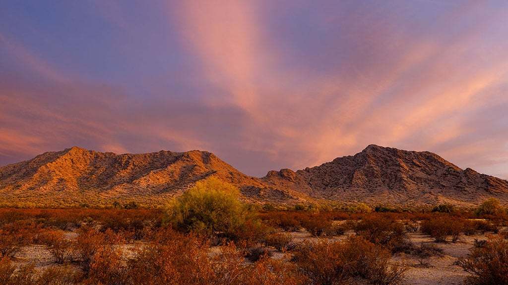 Ladera Trails Landscape 3 1024x576