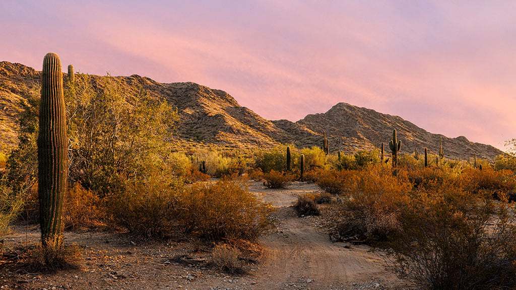 Ladera Trails Landscape 5 1024x576